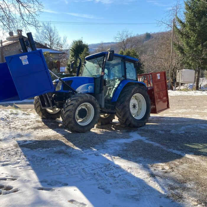 Casse forestali