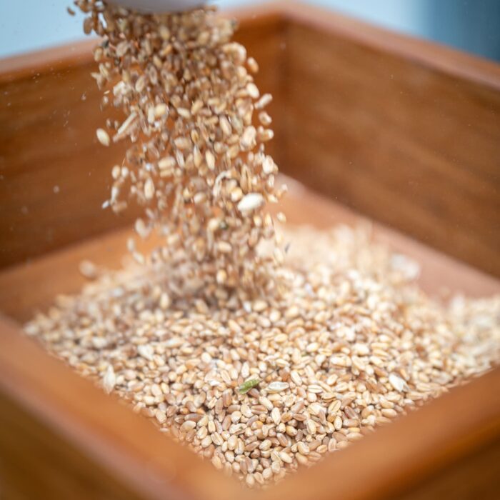 Mulino a pietra domestico (14)